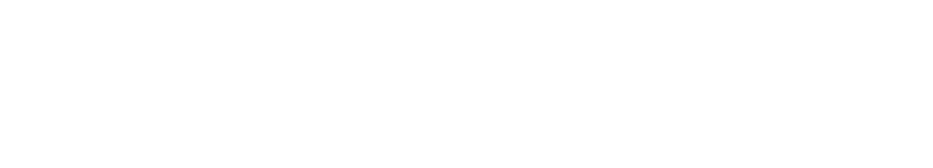 Programa Veracruzano de los 100 días PV-100